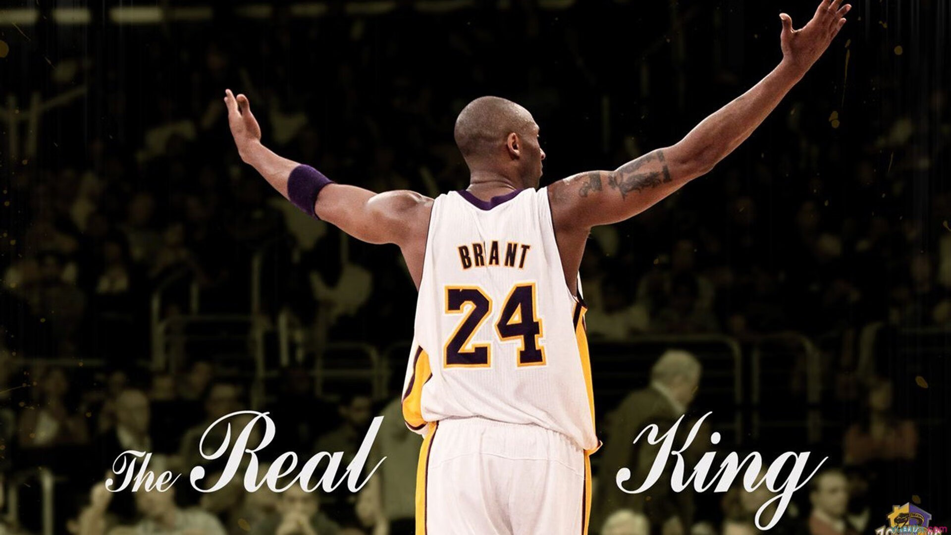 围场硝烟未散，球场战火又燃，当F1年度争冠悬念撞上CBA巅峰对决